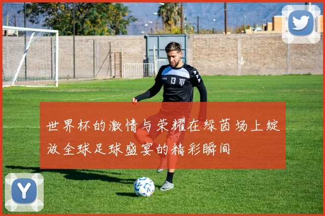 世界杯的激情与荣耀在绿茵场上绽放全球足球盛宴的精彩瞬间