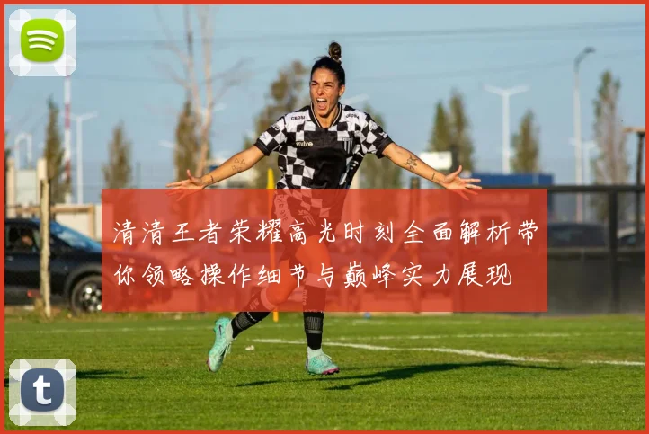 清清王者荣耀高光时刻全面解析带你领略操作细节与巅峰实力展现