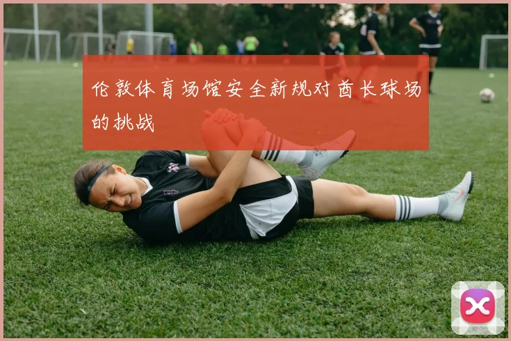 伦敦体育场馆安全新规对酋长球场的挑战