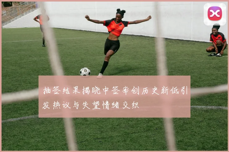 抽签结果揭晓中签率创历史新低引发热议与失望情绪交织