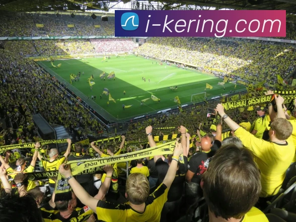 开云APP 体育赛事宣传图